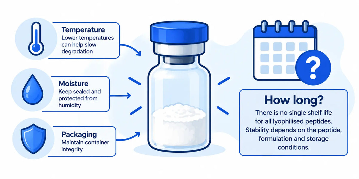How Long Do Lyophilised Peptides Remain Stable?