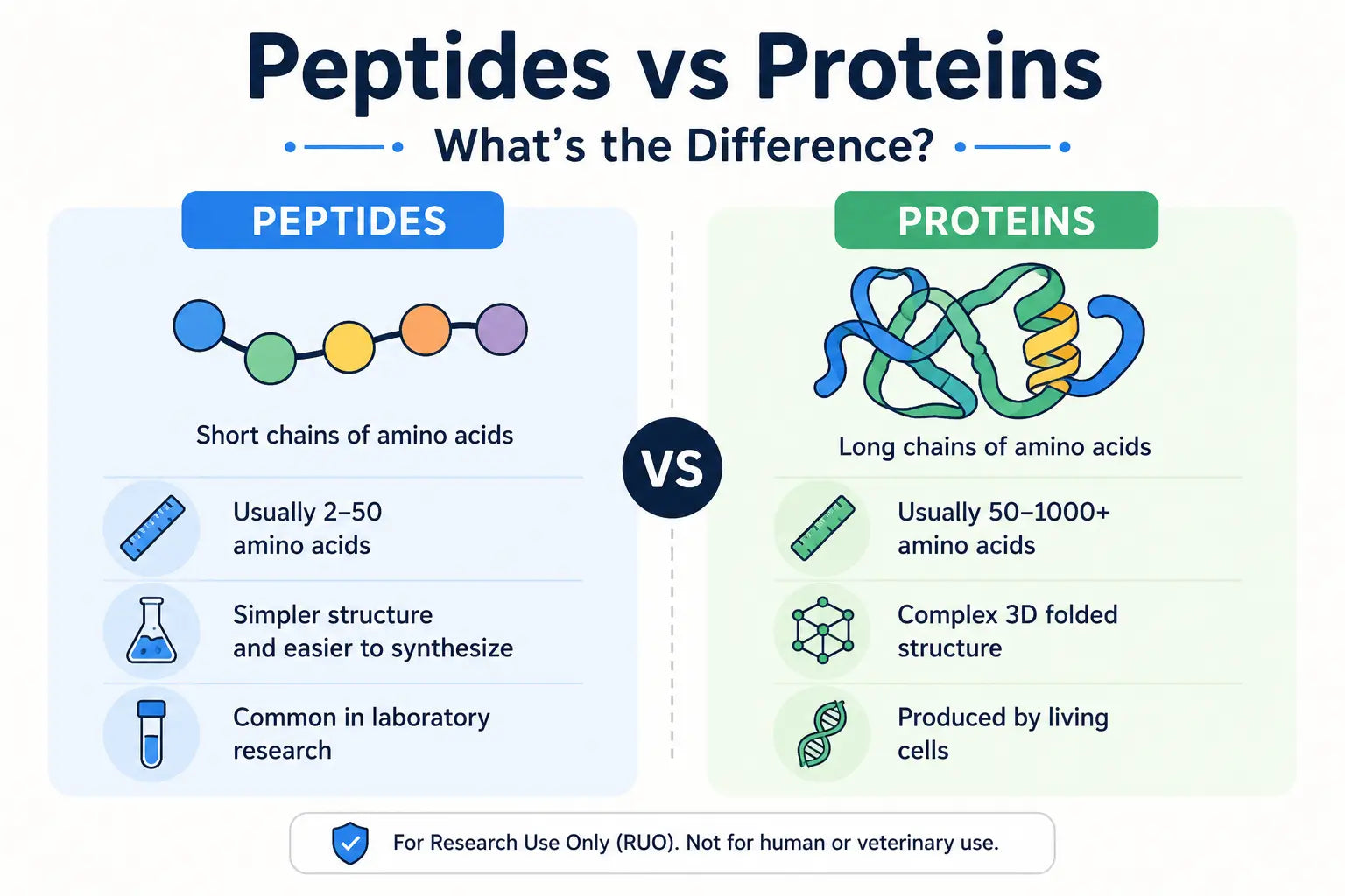 Peptides vs Proteins: What’s the Difference?