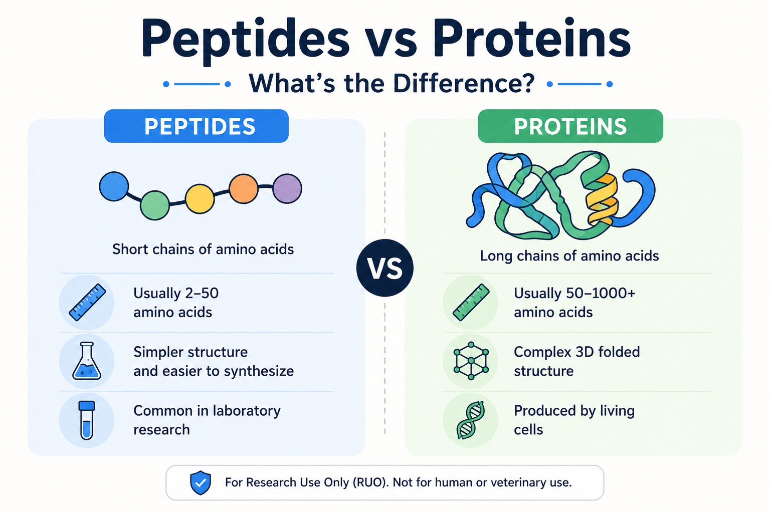 Peptides vs Proteins: What’s the Difference?